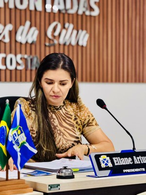 21ª Sessão Ordinária