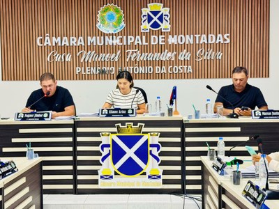 20ª Sessão Ordinária 2025