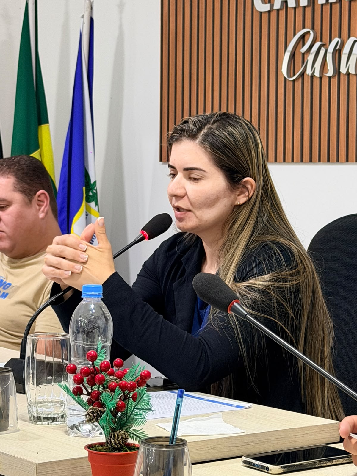 Audiência Pública da LDO 2027 e 10ª Sessão Ordinária