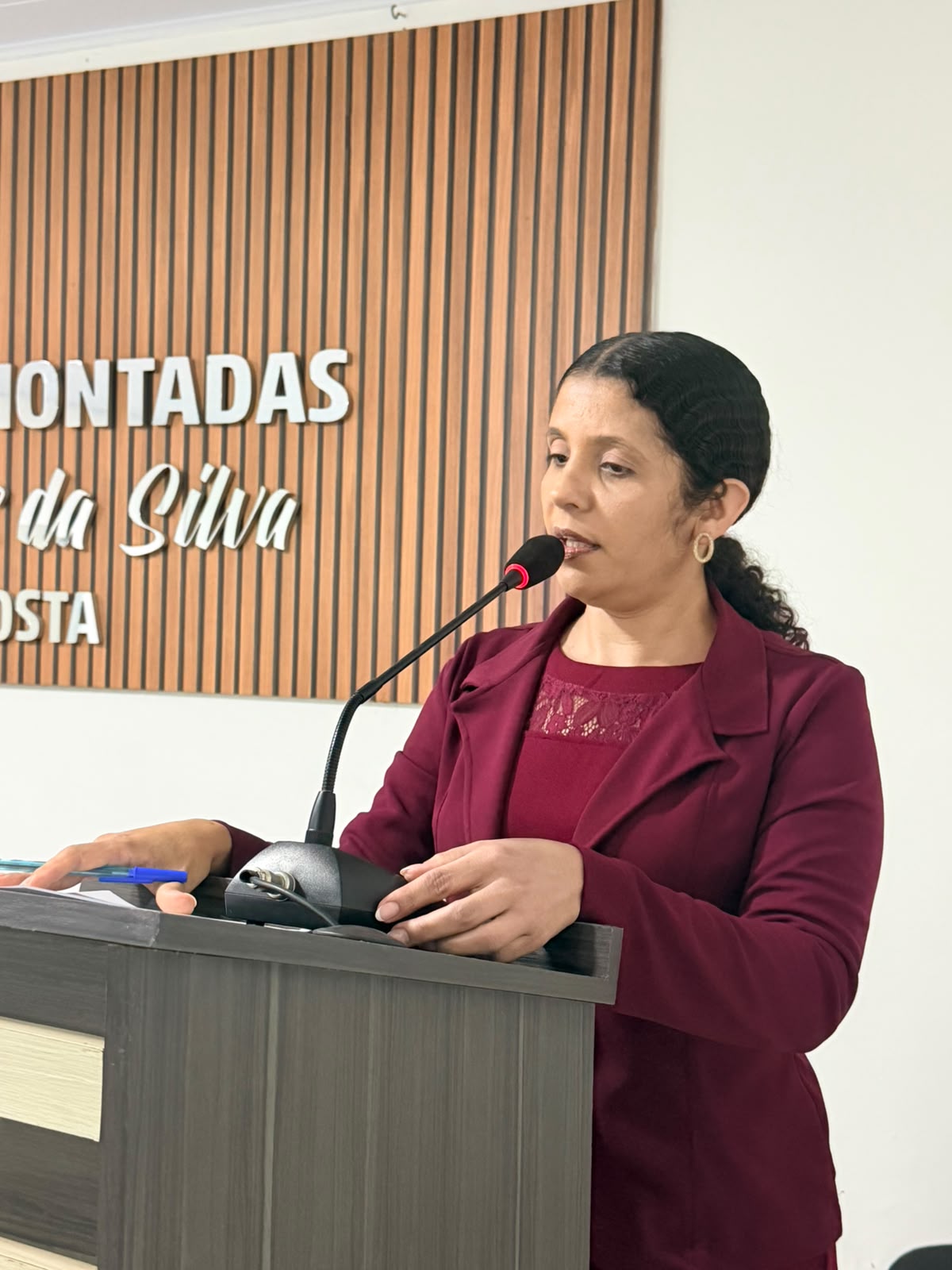 Audiência Pública da LDO 2027 e 10ª Sessão Ordinária