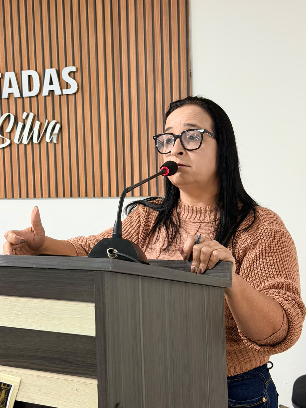 Audiência Pública da LDO 2027 e 10ª Sessão Ordinária