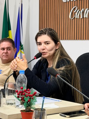 Audiência Pública da LDO 2027 e 10ª Sessão Ordinária