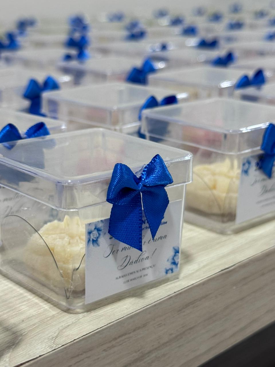 1ª Sessão Especial de 2026 em homenagem ao Dia Internacional da Mulher