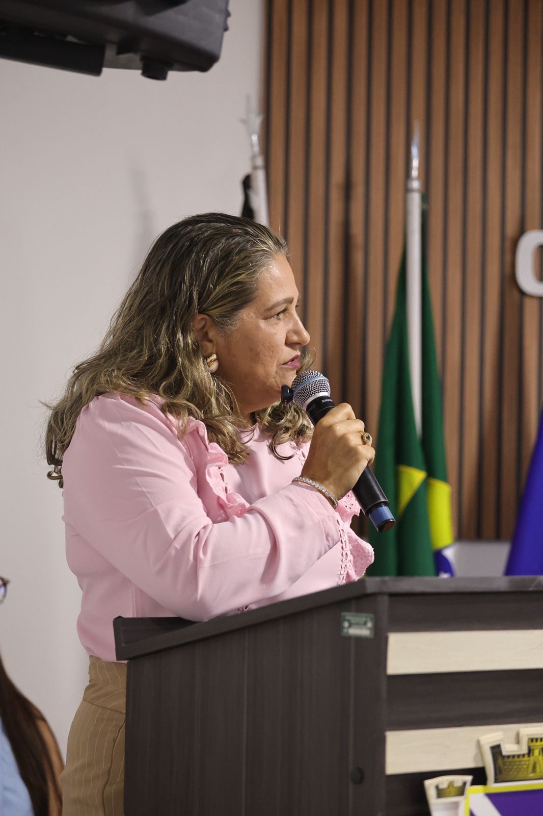 1ª Sessão Especial de 2026 em homenagem ao Dia Internacional da Mulher