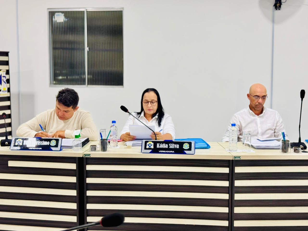 20ª Sessão Ordinária 2025